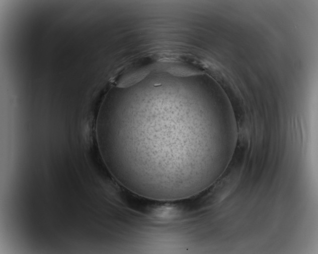 X0000088830460200706141523