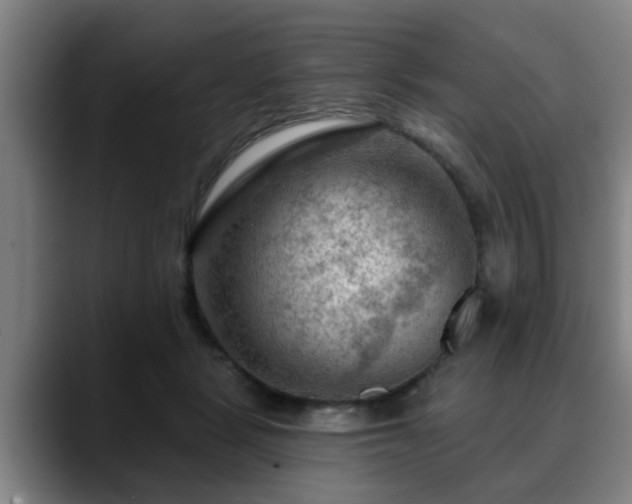 X0000088830461200706141523