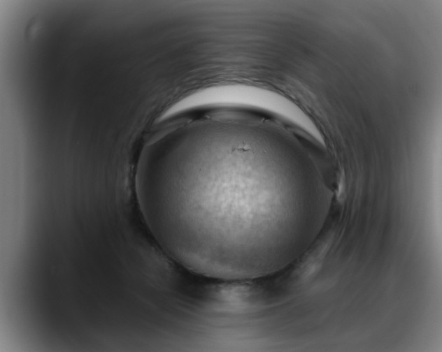 X0000088830462200706141523
