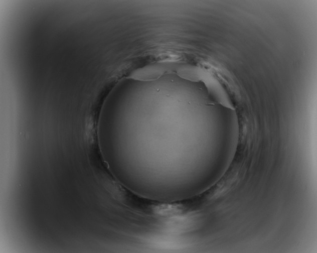X0000088830465200706141523