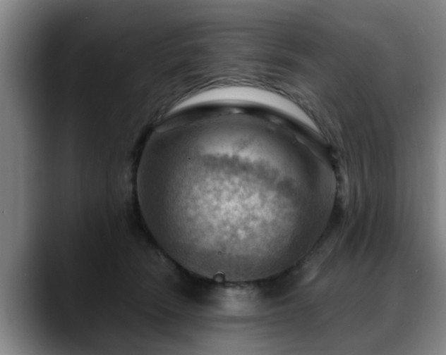 X0000088830466200706141523