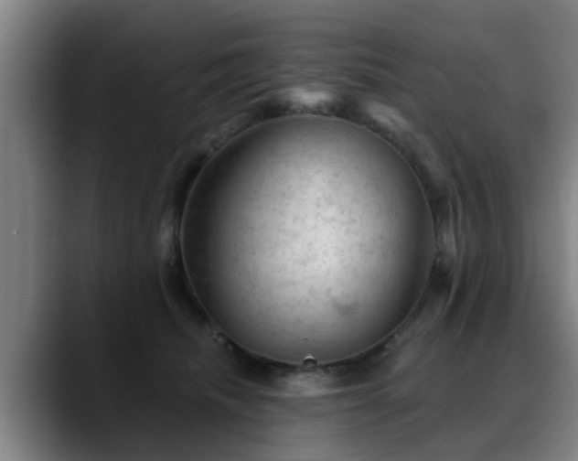 X0000088830468200706141523