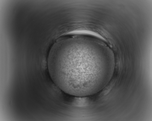 X0000088830469200706141523
