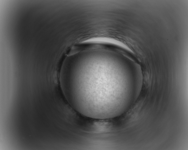 X0000088830470200706141523