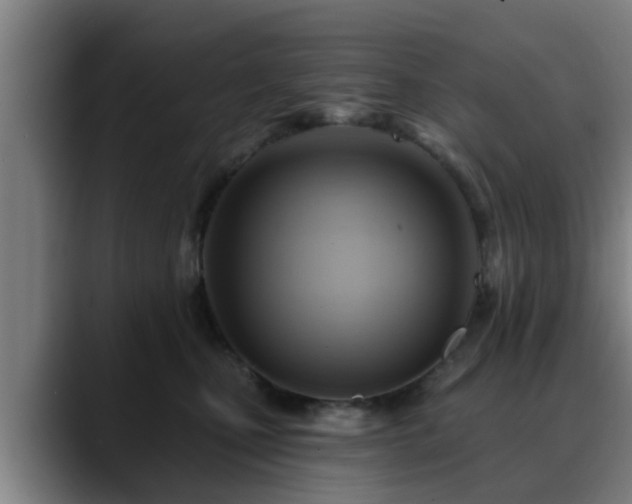 X0000088830471200706141524