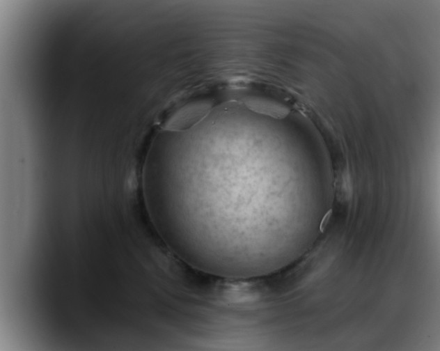 X0000088830472200706141524