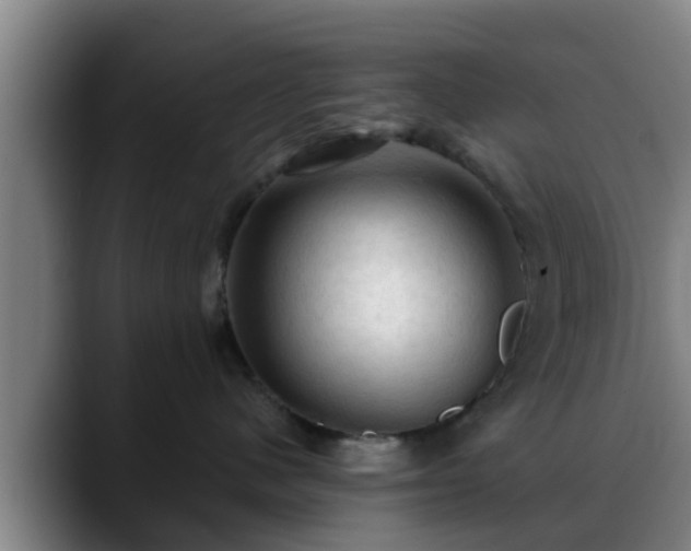 X0000088830480200706141524