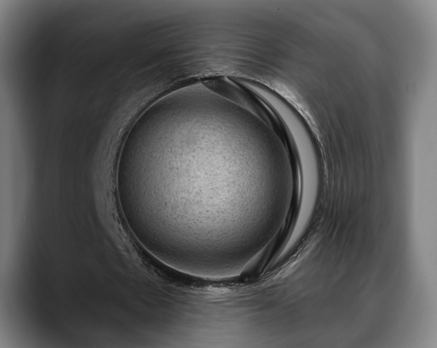 X0000088830481200706141523