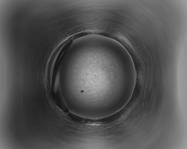 X0000088830484200706141523