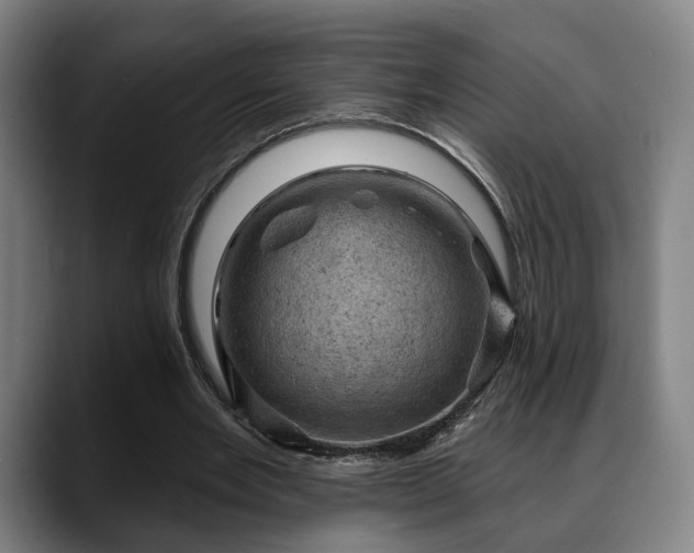 X0000088830485200706141523