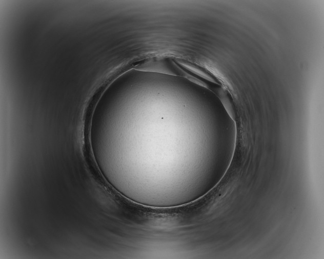X0000088830486200706141523