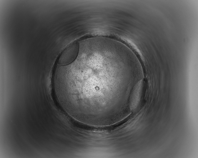 X0000088830487200706141523