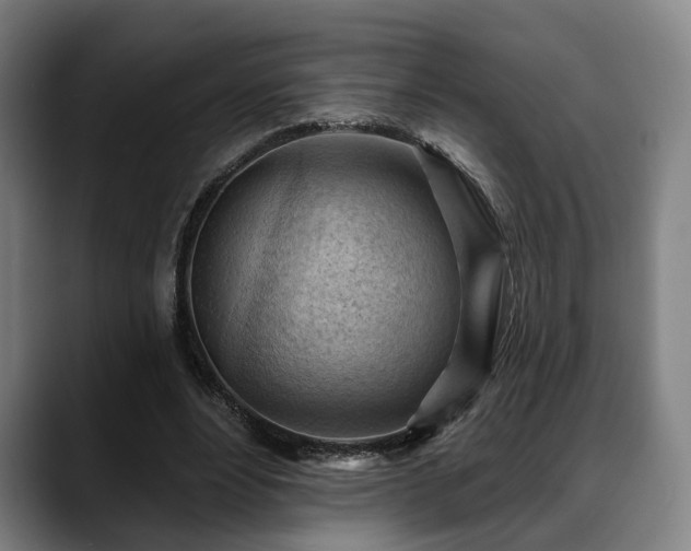 X0000088830488200706141523