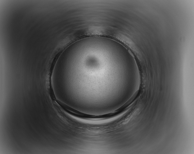 X0000088830489200706141523