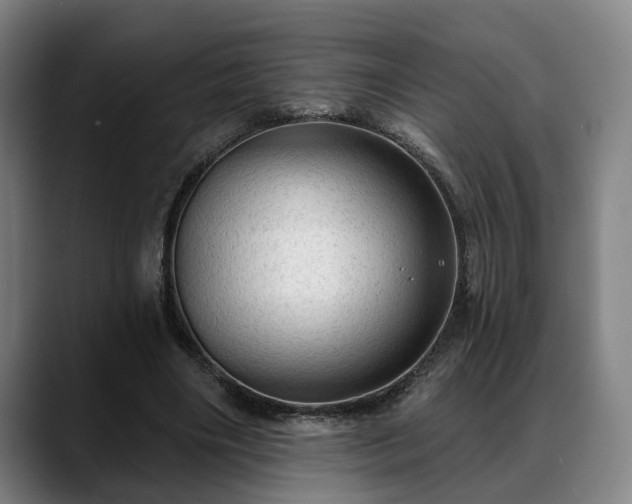 X0000088830490200706141523