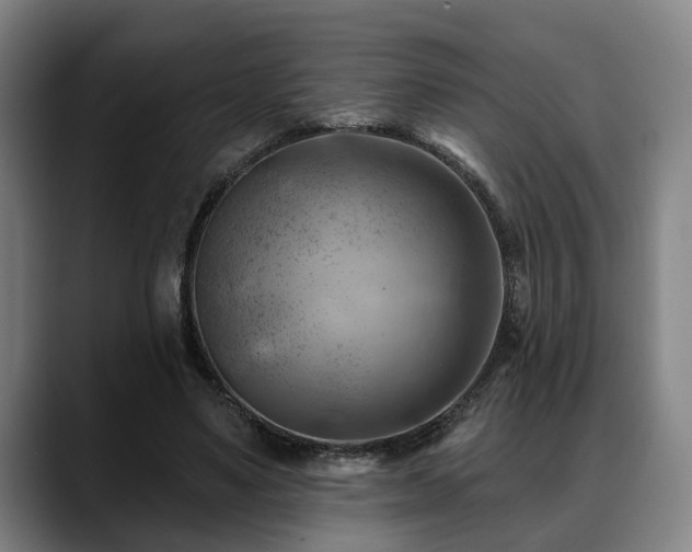 X0000088830491200706141523