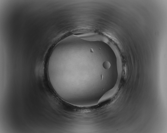 X0000088830492200706141523