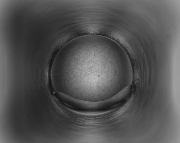 X0000088830493200706141523