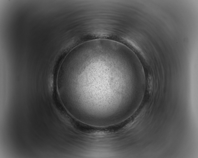 X0000088830494200706141523