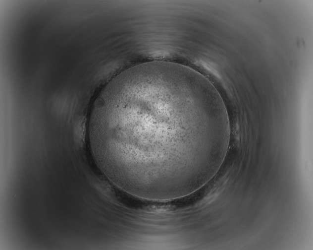 X0000088830495200706141523