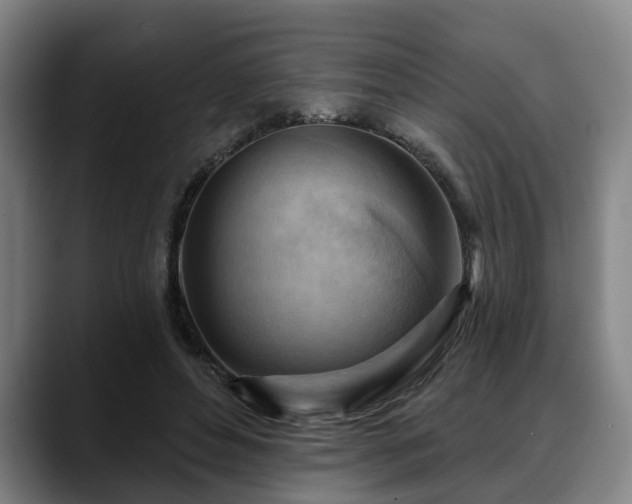 X0000088830496200706141523