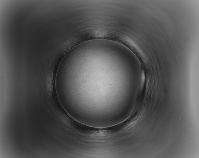 X0000088830497200706141523