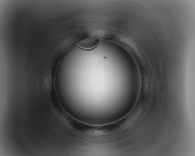 X0000088830498200706141523