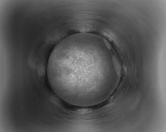 X0000088830499200706141523