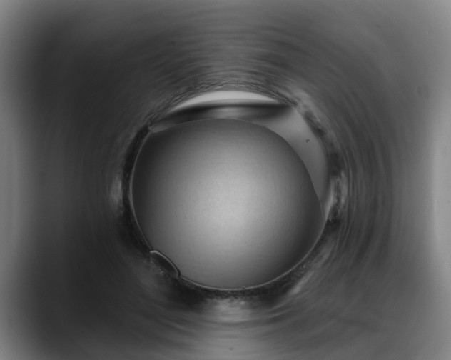 X0000088830500200706141523
