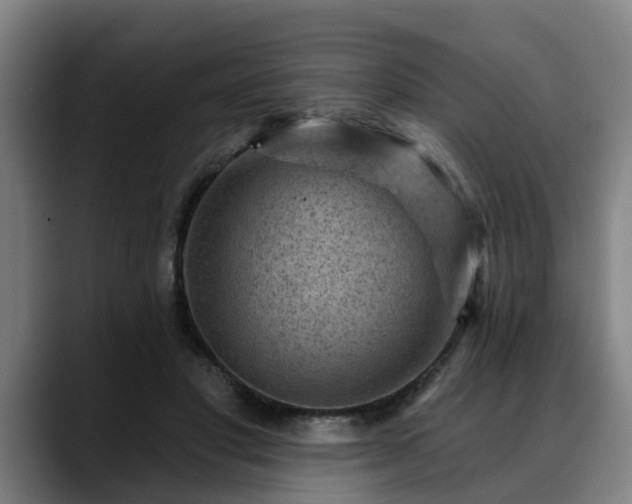X0000088830501200706141523