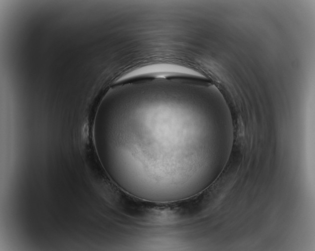 X0000088830502200706141523