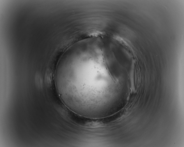X0000088830503200706141523