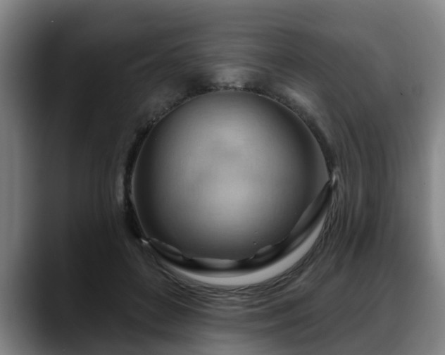 X0000088830504200706141523