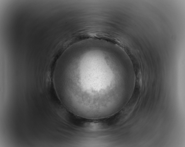 X0000088830506200706141523
