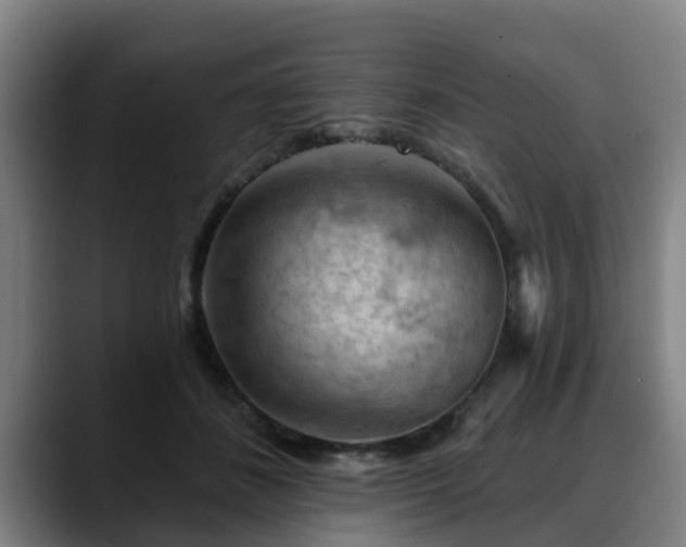 X0000088830508200706141523