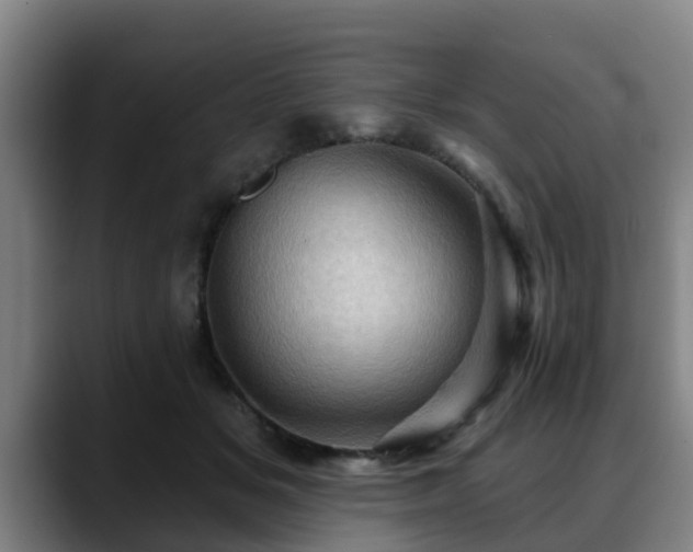X0000088830509200706141523