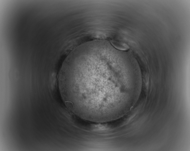 X0000088830511200706141523
