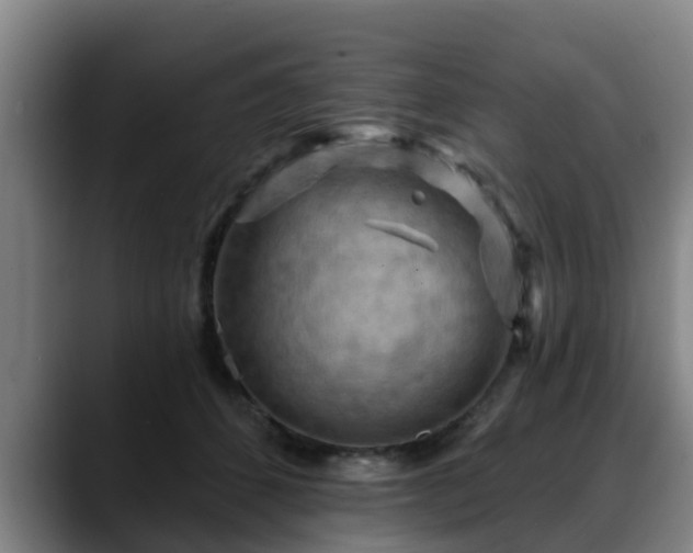 X0000088830512200706141523