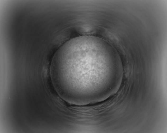 X0000088830515200706141523