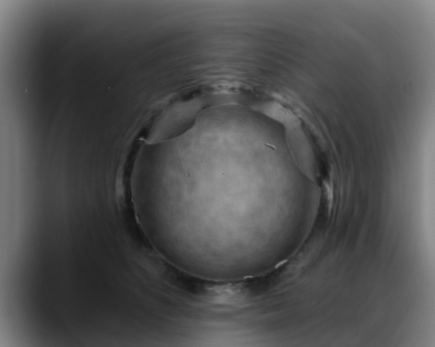 X0000088830516200706141523