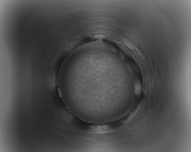 X0000088830517200706141523