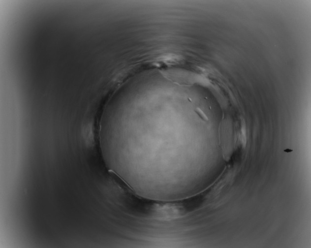 X0000088830520200706141523