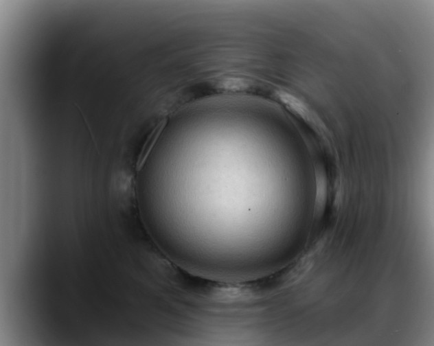 X0000088830521200706141523