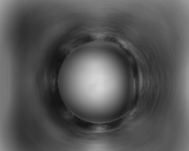 X0000088830525200706141523