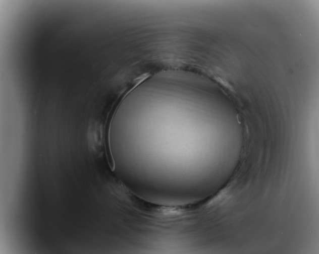 X0000088830528200706141523