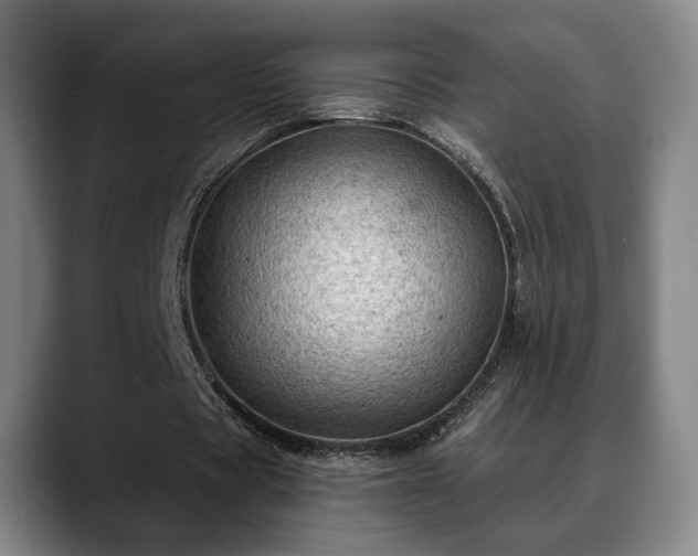 X0000088830529200706141522