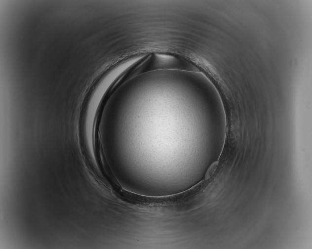 X0000088830530200706141522