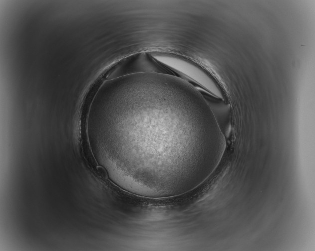 X0000088830531200706141522