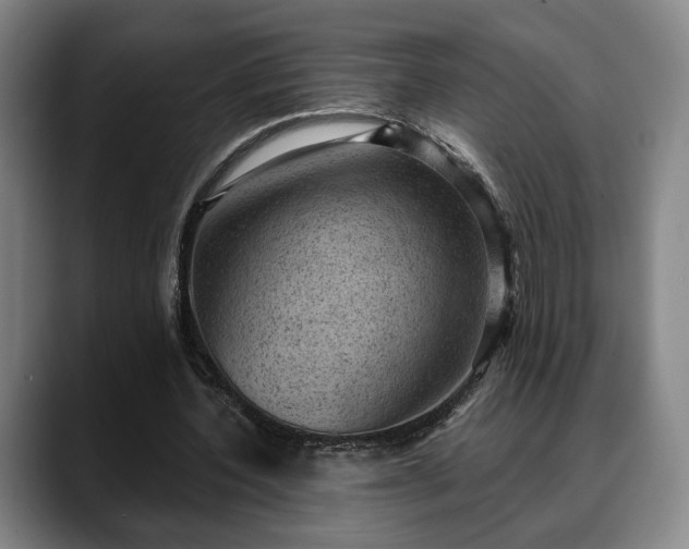 X0000088830532200706141522
