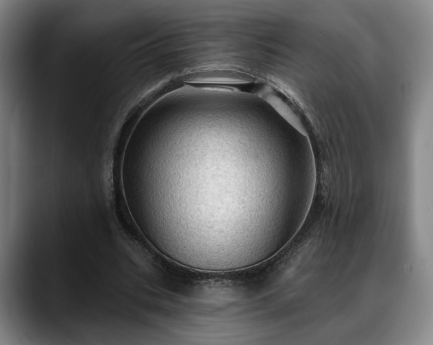 X0000088830535200706141522
